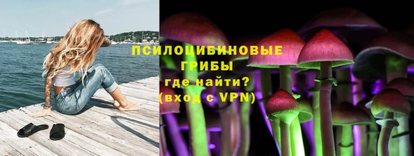 соль ск Елабуга