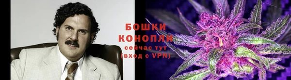 круглые Елизово