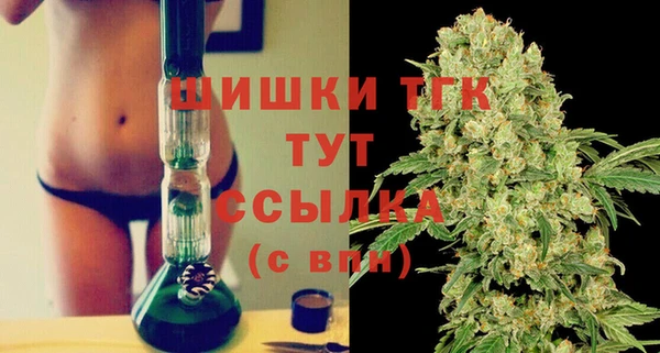 соль ск Елабуга