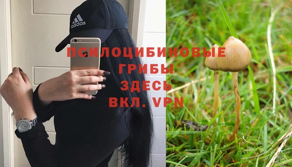 соль ск Елабуга