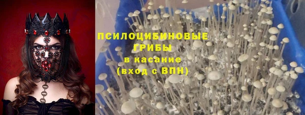 соль ск Елабуга