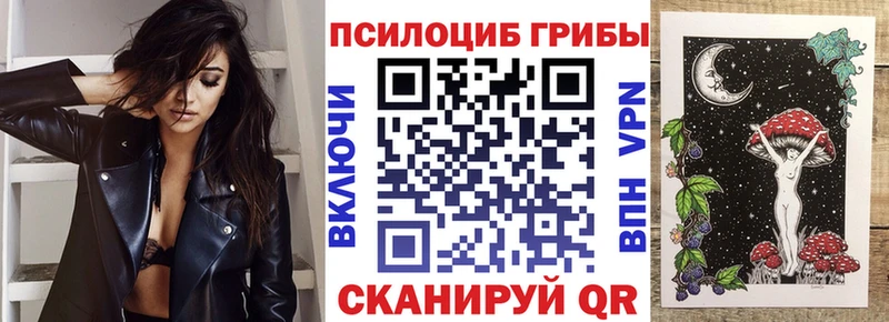 дарк нет какой сайт  дарнет шоп  Карачев  Псилоцибиновые грибы Cubensis 