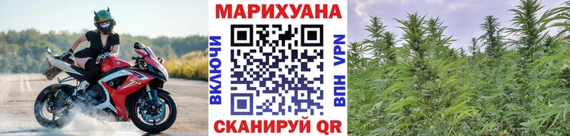 Канабис индика  Карачев 